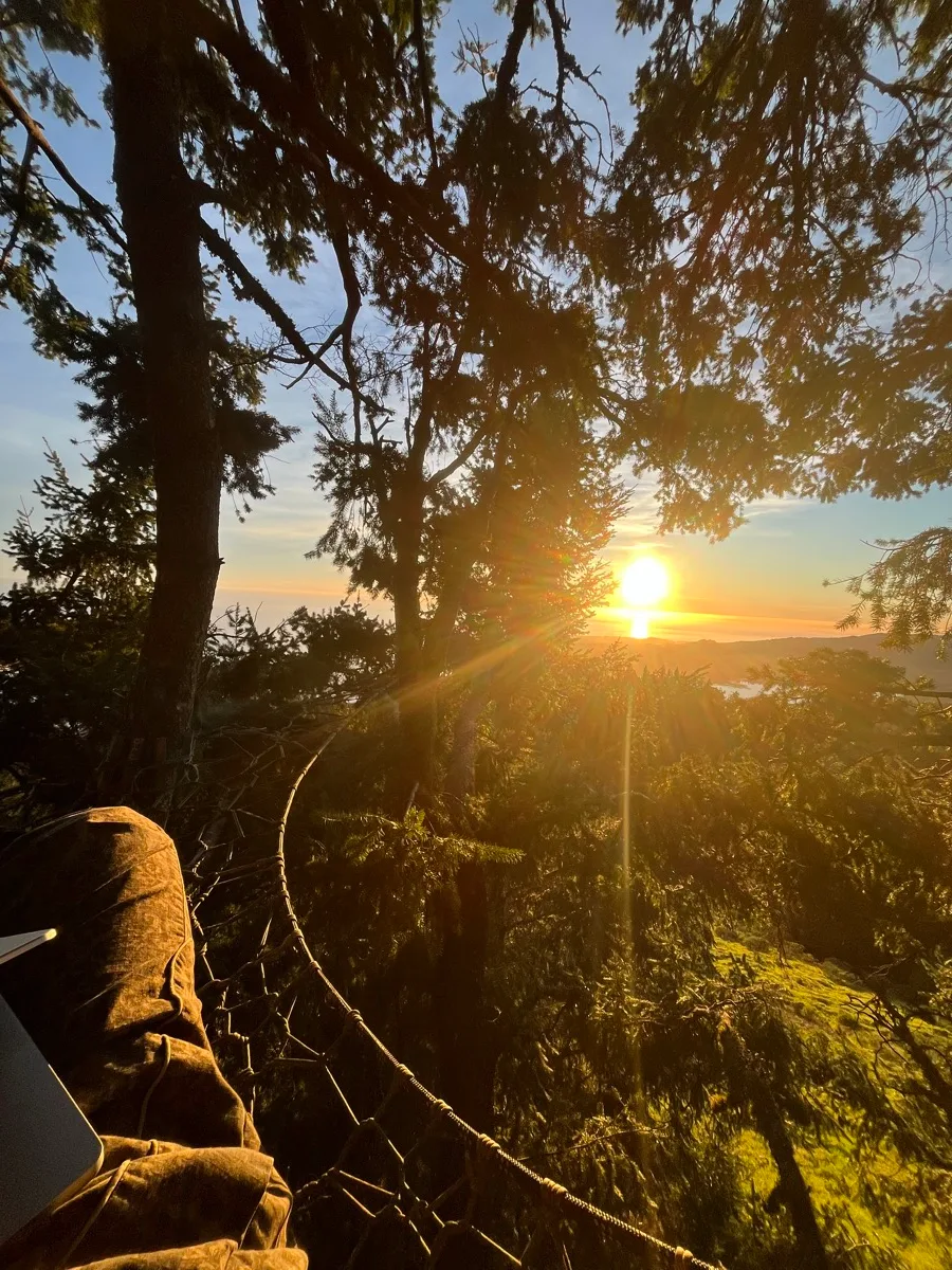 Watching the sunset through the trees from a net.