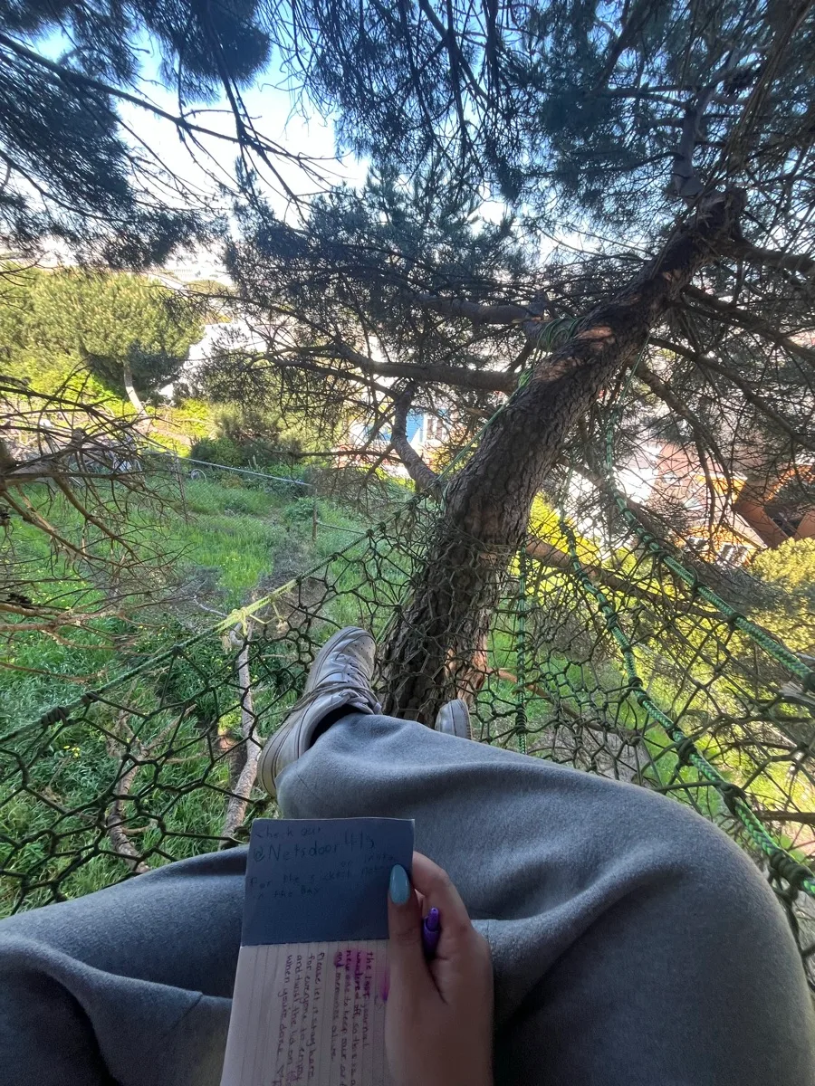 Reading a notebook while relaxing in a tree net.